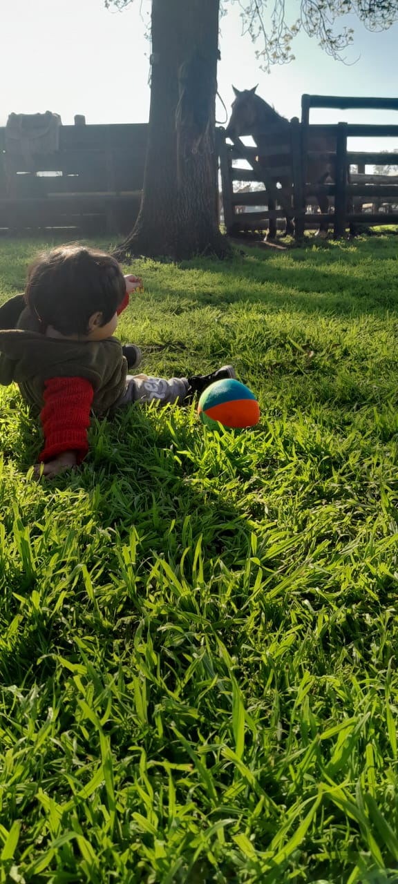 WhatsApp Image 2025-09-07 at 00.20.40.jpeg